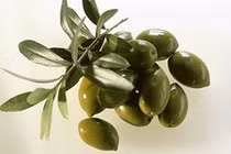 Thực phẩm cực tốt cho người sợ ung thư gan