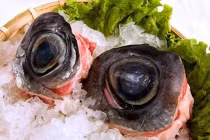 Thử can đảm với món mắt cá ngừ đại dương rùng rợn