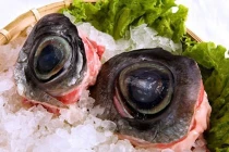 Thử can đảm với món mắt cá ngừ đại dương rùng rợn