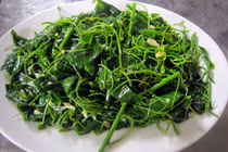 Món ngon từ đặc sản rau bò khai vùng cao