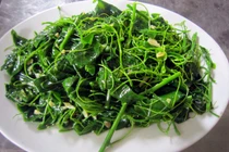 Món ngon từ đặc sản rau bò khai vùng cao