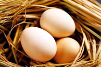 9 loại thực phẩm bổ dưỡng ngừa ung thư vú 