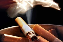 Tận mục cách thuốc lá tàn phá, gây ung thư gan