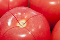 Mẹo vặt không nên bỏ qua khi chế biến cà chua