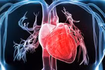 Giật mình tác hại đáng sợ của ngủ quá nhiều