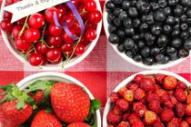 10 món ăn vặt lành mạnh cứ ăn không sợ béo