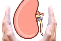 10 cách bảo vệ thận khẩn cấp trước khi quá muộn