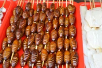 Thưởng thức 5 món đệ nhất côn trùng tại Bắc Kinh