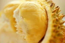 5 đặc sản “khó ngửi” tuyệt ngon