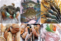 Cách chọn hải sản tươi ngon chiêu đãi cả nhà