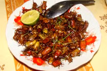 Những món tuyệt ngon từ... côn trùng