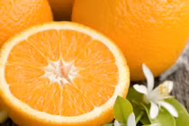 10 thực phẩm cực tốt cho dạ dày