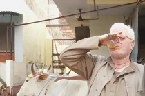 Kinh dị uống nước tiểu bò giải khát, chữa bệnh