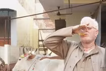 Kinh dị uống nước tiểu bò giải khát, chữa bệnh