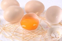 Mẹo chọn trứng gà tươi ngon 