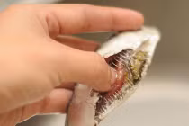 Mẹo chọn cá biển tươi ngon, hấp dẫn nhất