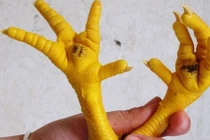 Cách chọn chân gà ngon, không nhiễm độc
