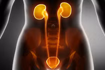 Kinh ngạc 8 lợi ích lớn của việc uống bia mỗi buổi chiều