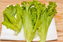 Mẹo bảo quản xà lách tươi ngon suốt 2 tuần