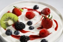 Món ngon từ sữa chua