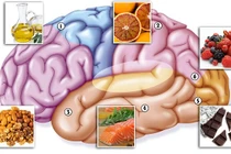 Top thực phẩm bổ não giúp phòng bệnh mất trí nhớ 