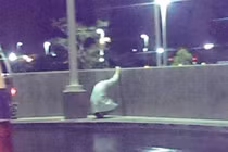 Hỉnh ảnh bác sĩ gục ngã vì không cứu được bệnh nhân