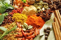 Bỏ túi bí mật chống ung thư tuyệt vời của người Ấn Độ