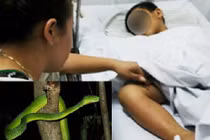 Suýt mất mạng vì thần dược chữa rắn cắn của thầy lang