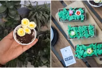 Thưởng thức món “bánh chậu cây” siêu độc đáo ở Hà Nội