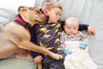 Ảnh đáng yêu của 2 anh em say giấc cùng cún cưng