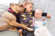 Ảnh đáng yêu của 2 anh em say giấc cùng cún cưng