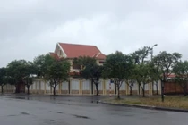 Nghĩ từ chuyện Giám đốc sở 30 tuổi mất… chim