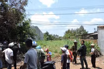 Phát hiện thi thể người đàn ông đang phân huỷ trong bụi cỏ