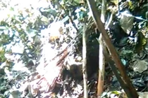 Thiếu nữ lớp 7 chết lõa thể trong rừng: Bị hiếp rồi giết