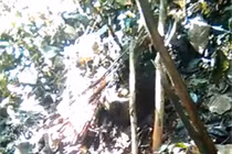 Thiếu nữ lớp 7 chết lõa thể trong rừng: Bị hiếp rồi giết