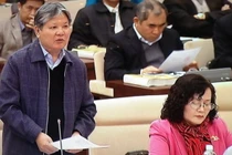 Chính phủ lại xin lùi dự án Luật biểu tình 