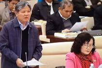 Chính phủ lại xin lùi dự án Luật biểu tình 