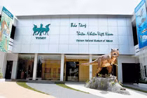 Hà Nội công bố hướng xử lý xác “cụ” Rùa hồ Gươm