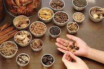 Sở Y tế Hà Nội thu hồi giấy phép một nhà thuốc đông y