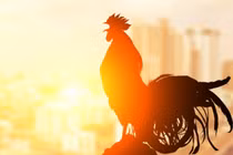 Vận xấu liên miên, tiểu nhân bám riết những con giáp này 2 tuần tới