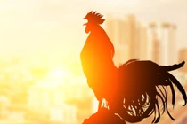 Vận xấu liên miên, tiểu nhân bám riết những con giáp này 2 tuần tới