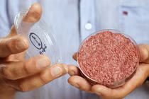 Thịt bò nhân tạo Bill Gates khuyên ăn: Dinh dưỡng “chất” hơn thịt thật?