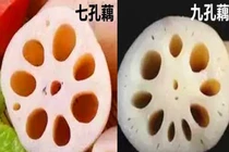 Mua củ sen, nên chọn loại 7 hay 9 lỗ mới đại bổ?