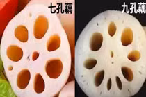 Mua củ sen, nên chọn loại 7 hay 9 lỗ mới đại bổ?