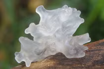 Nêm thứ này vào cháo, 2 mẹ con đau đớn vì u gan nặng