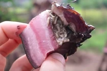 Bật ngửa với những món ăn lúc nhúc giòi mới đạt chuẩn tuyệt phẩm