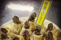 Người ngoài hành tinh mang những món ăn kinh dị này xuống trái đất?