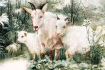 Phúc tinh chiếu mệnh, 3 con giáp giàu ú ụ nửa sau tháng 4 