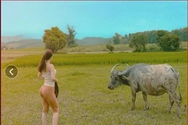 Cố tình mặc hở, hotgirl lội ruộng khoe body khiến người nhìn bối rối