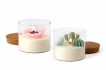 Giật mình 3 vật dụng tiềm ẩn nguy cơ ung thư máu ở trẻ